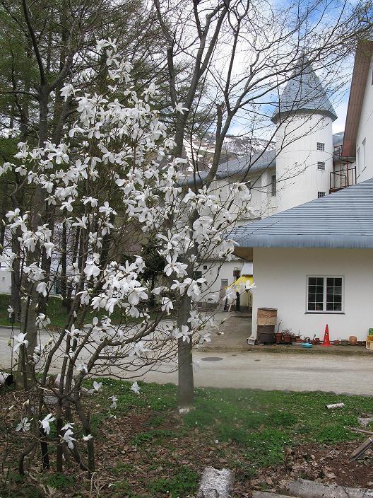 Grindelwald Hotel Yuzawa  Luaran gambar